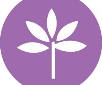 Iconos De Vectores De Fondo Flores Púrpuras