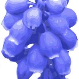 Flores De Color Púrpura Clip Art