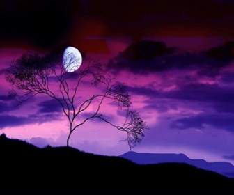 фиолетовый Sky изображение