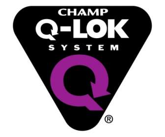 Q-Lok-system