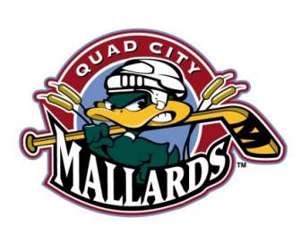 Mallards Quad City