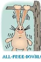 Kaninchen-Ohr-Pull-ups