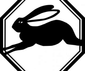 Rabbit Running Animal Clip Art