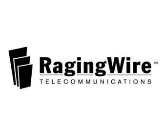 Ragingwire 通信