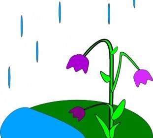 Rain Flowers Clip Art