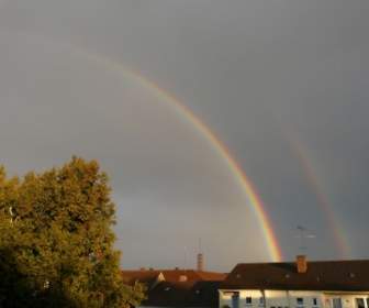 rainbow half transient