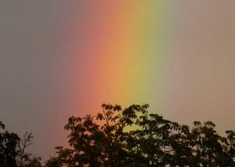 虹の雨のスペクトル