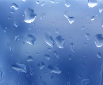 Raindrops Wallpaper Miscellaneous Other