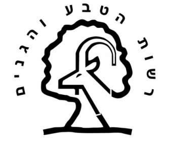 Rashut A Israel De Teva