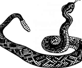 Hochet Serpent Clipart