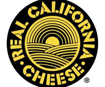 真正的加州乳酪