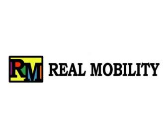 Movilidad Real