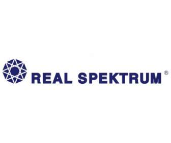 Spektrum Real