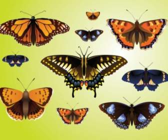 Realistische Schmetterling Vektoren