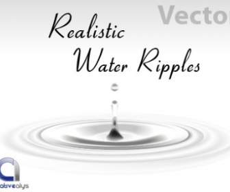 Ondulações De água Realista Vector
