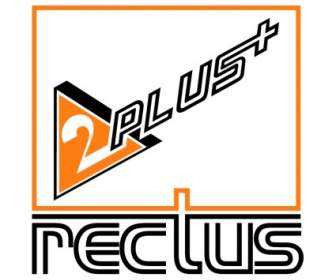 Musculus Rectus