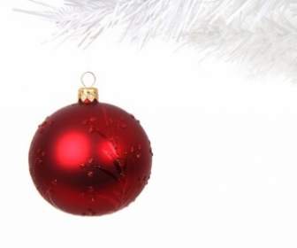 Red Bauble On Branch