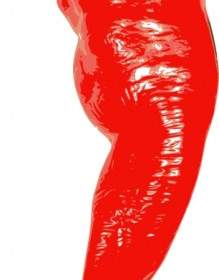 Ají Rojo Clip Art