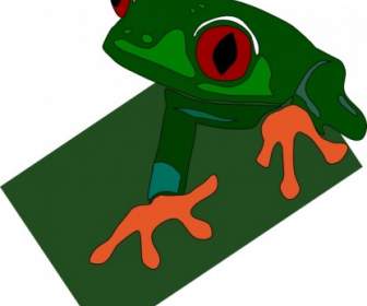 빨간 눈된 개구리 클립 아트