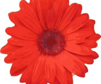 Flor Vermelha Pedais Clip-art