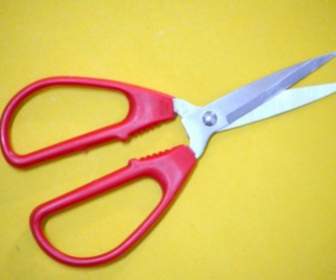 Red Handle Scissors