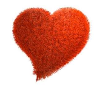 Red Plush Heartshaped Picture