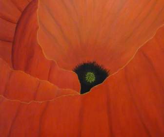 Red Poppy Painting Image