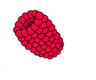 Merah Raspberry