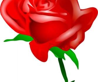 Rote Rose ClipArt