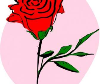 Rote Rose ClipArt