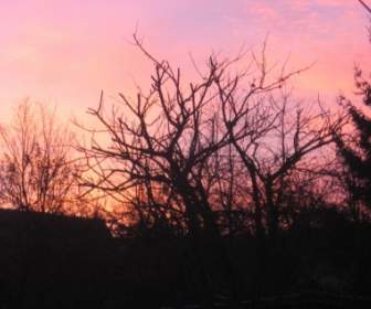 Roter Himmel Morgen