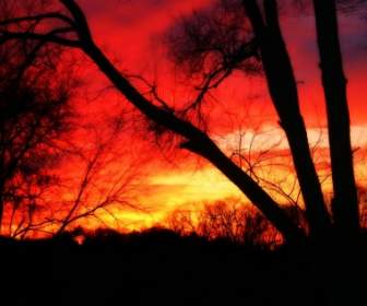 赤の日没の壁紙風景自然