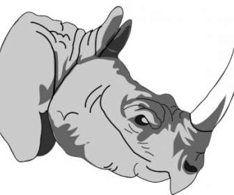 Rhinocerosd Clip Art