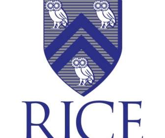 Université Rice