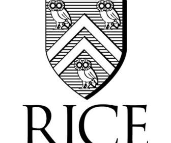 Đại Học Rice