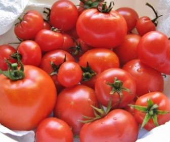熟した赤いトマト