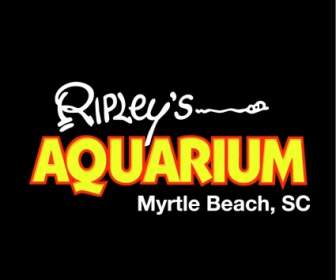 Ripleys аквариум