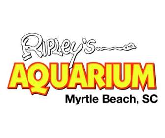 Ripleys аквариум