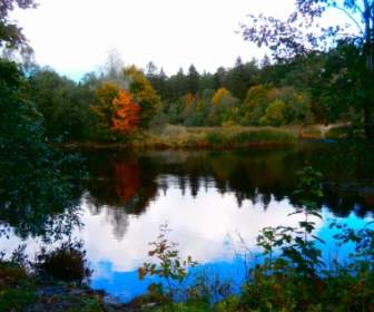 river nature pirita