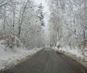 Estrada No Inverno