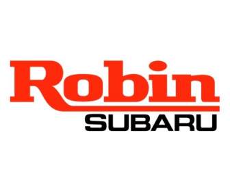 Subaru Robin