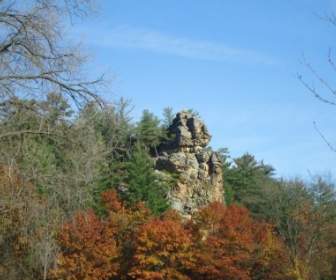 Rock Cliff Among Trees