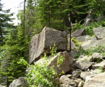 岩の表面