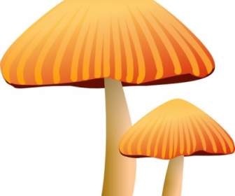 Rockraikar 橙色蘑菇剪貼畫