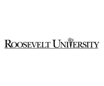 Université De Roosevelt