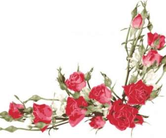 Vettore Bouquet Rosa