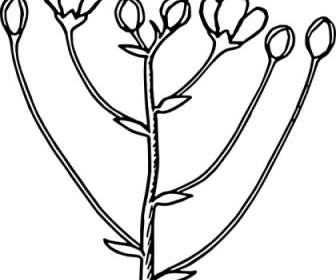 Mawar Bunga Pengaturan Clip Art