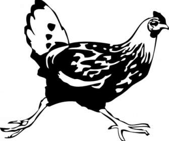 Running Chicken Clip Art