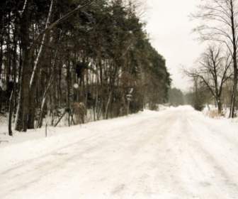Estrada Rural Perto De Lublin