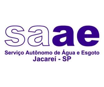 Saae